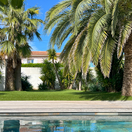 Espace piscine avec palmiers et gazon artificiel