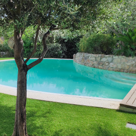 Contours de piscine arrondie en pelouse synthétique