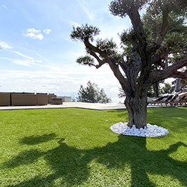 Olivier, galets blancs, gazon synthétique dans un jardin vue mer