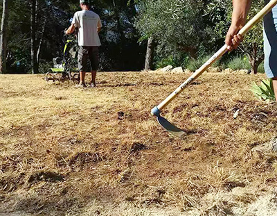 Ratisser, ôter les mauvaises herbes - 2