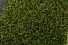 Photo de gazon synthétique Smally 22
