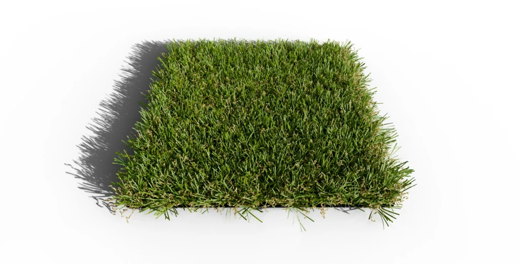 Gazon artificiel modèle Agaira 32 - Photo d'échantillon - vu de dessus