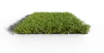 Gazon artificiel modèle Agaira 32 - Échantillon plat