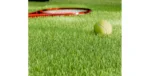 Pelouse artificielle GR 36mm, avec une raquette et une balle de Tennis