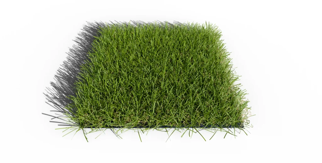 Gazon synthétique GR 36 - Photo d'échantillon à plat