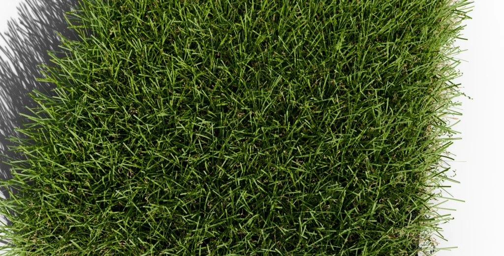 Gazon synthétique GR 36 - Photo d'échantillon vu de dessus