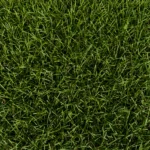 Gazon synthétique GR 36 - Photo d'échantillon vu de dessus