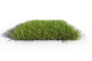 Illustration du produit Millenium 42