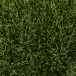 Gazon artificiel modèle Millenium 42 - Photo d'échantillon - vu de dessus