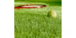 Gazon artificiel Millenium 50 installé avec une raquette et une balle de Tennis