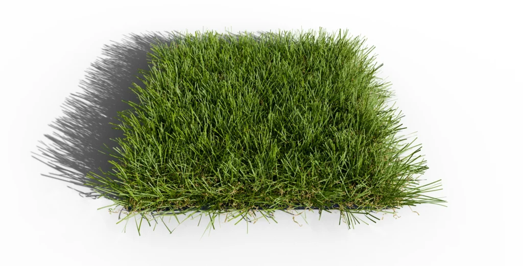 Gazon synthétique Millenium 50 mm