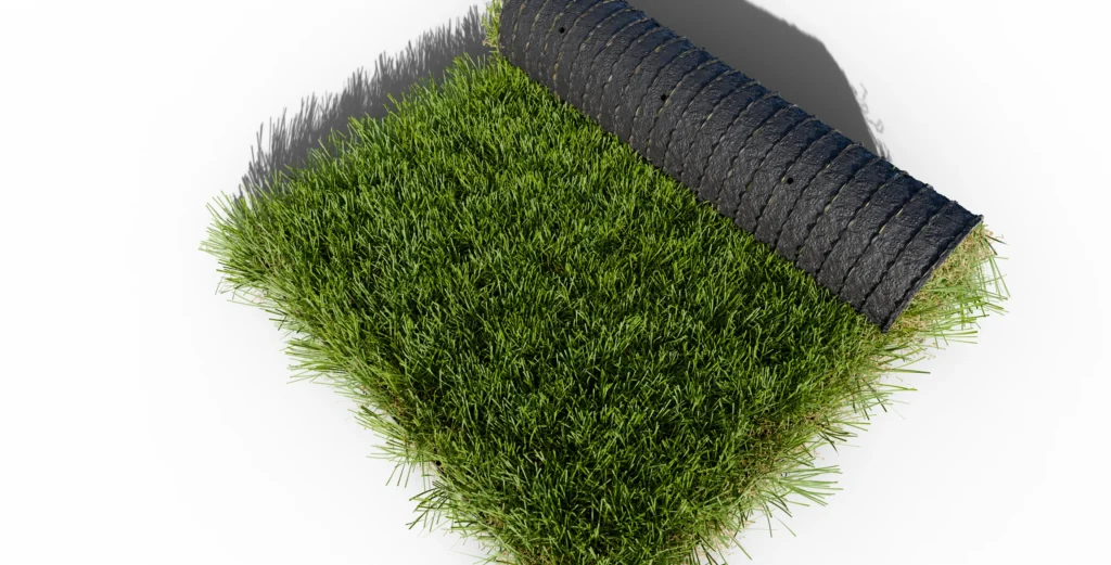 Millenium 50 mm : échantillon enroulé vu de dessus