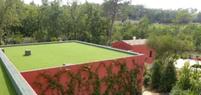 Illustration : Toiture : végétaux naturels ou gazon synthétique ?