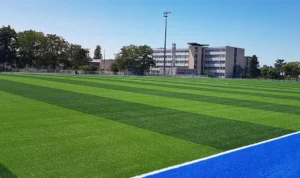 Illustration : Le gazon synthétique pour le football