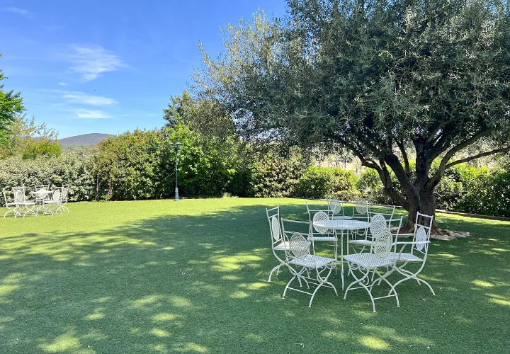 Gazon artificiel dans un jardin installé en 2016