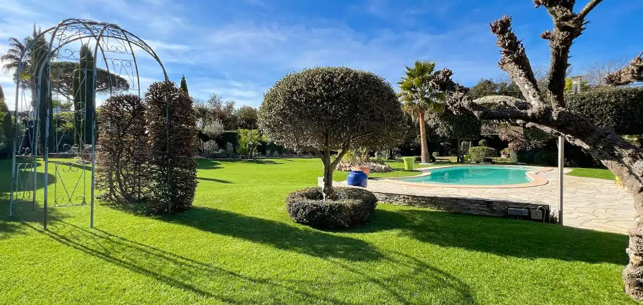 Plantations, arbres et gazon synthétique