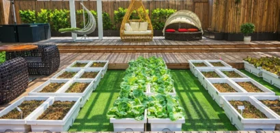 Illustration : Architectes et maîtres d’œuvre : pourquoi choisir le gazon synthétique pour vos projets d’aménagement ?