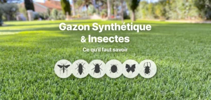Illustration : Gazon synthétique et insectes : Ce qu&rsquo;il faut savoir