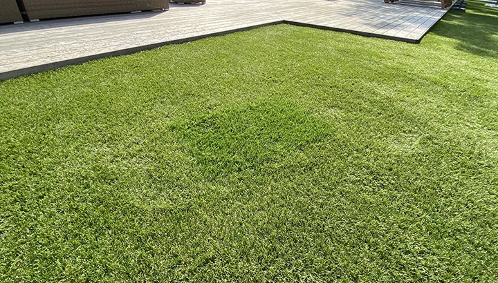 Visuel d'un remplacement de mocreau de gazon artificiel