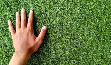 Illustration : Le gazon synthétique absorbe-t-il réellement les chocs ?