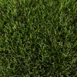 Photo produit : Gazon synthétique Luxe 50 mm vu de dessus