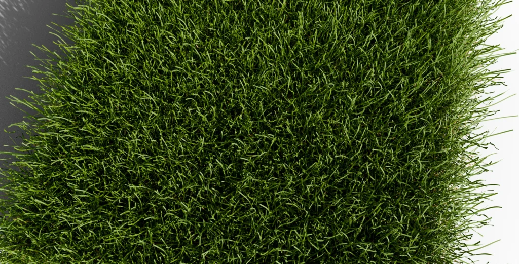 Gazon synthéitque : Modèle Saturno 50 mm - Vu de dessus avec zoom sur fibres